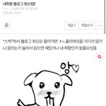 헐 이거레알인게 나도 <b>블로그</b>