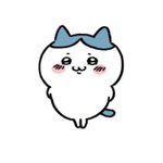 나 <b>하치</b>와레짤 이게 최애임