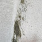 세상에 제정신 아닌것들 많네요