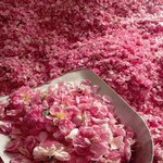 '꽃잔치'<b>란</b> <b>말</b>이 딱이야