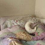 이런이불은 어디서 <b>사냐</b>