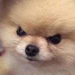 [TXT] 근데 <b>휴닝</b>카이 캐해