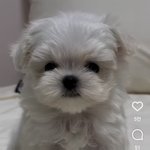 누가 더 공부 잘 했을거 같음?