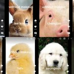 [스키즈] 아니 우리 <b>비니</b>