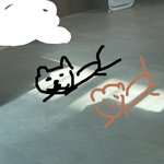강아지들 이거 <b>국</b><b>룰</b>이야?ㅋㅋㅋㅋ