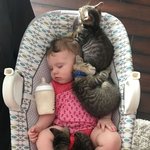 우리 집 베이비<b>시터</b> 소개함