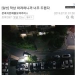 [댓글부탁해] 이거 네<b>판도</b> 이러지 않냐?