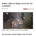 [댓글부탁해] 너네 겨울에 <b>샤워</b> 몇번함