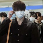 <b>삽살개</b> 같은 라이즈 성찬
