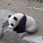 [드루와] 나 발톱에 피 찬거 볼 사람