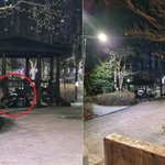 한밤중 공원 벤치서 잠든 여학생…<b>시민</b> 대처 '훈훈'