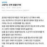 [드루와] 고양이는 진짜 <b>영물</b>인가봐