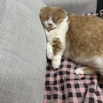 [비트이더] 봄이왔네요~