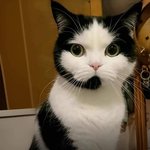 [19] 배우들 <b>베드</b>씬 ㄹㅇ대단하지않냐