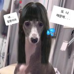 피라미드게임 보면서 드는 생각