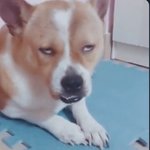 나 궁금한게 생겻음 너네 <b>본진</b>이
