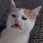 [19] 너네 비데없는데서 <b>똥닦</b>을때