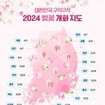 [모두드루와] 2024년 벚꽃 <b>개화</b>시기