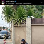 혜리님 근황 ^_^