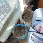 [열받아요] "소비자는 손해만 봐야하나요.?_많은 의견 부탁합니다...