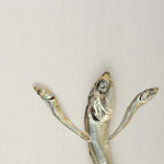 예쁜 <b>멸치몸</b>..