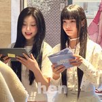 아일릿아기들때문에<b>미티</b>겟다