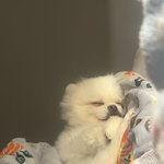 [댓글부탁해] 울<b>아기</b> 어떰?