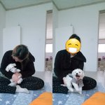 댕댕이 때문에