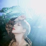 2024 NGLA <b>요코하마</b> 콘서트 라인업