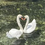 얘는 <b>호수</b>랑 영원히 한 세트야