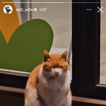 나 <b>mbti</b> 변천사 ㄹㅈㄷ임 ㅋㅋㅋㅋ