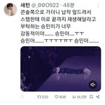 [스키즈] 좋구나 약스포