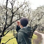 [<b>방탄소년단</b>] 봄이구나