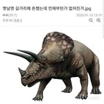 말라에서 <b>개말라</b>된애들있냐