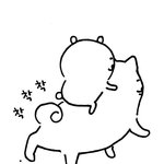 [댓글부탁해] <b>렌즈</b> 직경 14.5이면 눈 큰거임?