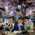 딩고 이슬라이브 하이라이트 출연 예정