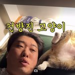 이분