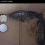 [댓글부탁해] 나 수업 <b>맨앞자리</b>에 앉아서 졸았거든