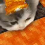 [19] 하 다시 <b>노</b><b>잼</b>됏다