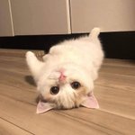 우리 동네 병원 <b>원무</b>과 언니들은