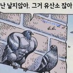 <b>사각</b>턱인 애들중에  잘 꾸미고다니는 애들 들어와봐