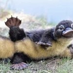 보고싶다