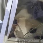 [드루와] 푸바오 중국 <b>첫날</b> 대우 수준 ㅋㅋㅋ