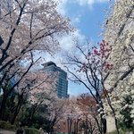 <b>꽃사진</b> 나도..