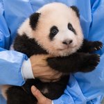 얘들아 비대칭 있으면 많이 <b>티나</b>?…