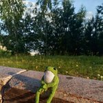 <b>뜨개</b>구리야 너 무슨 고민 있니