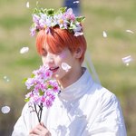 한강공원에서 미팬한 투바투