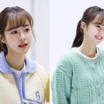 [댓글부탁해] 외모<b>취향</b> 소나무임??