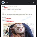 또리 얘 거니까 다 닥쳐