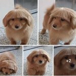 [<b>방탄소년단</b>] 썰기다려짐